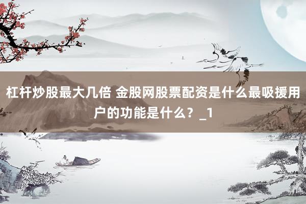 杠杆炒股最大几倍 金股网股票配资是什么最吸援用户的功能是什么？_1