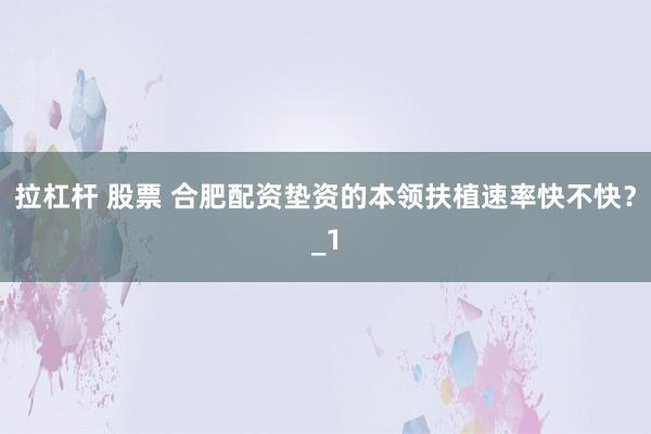 拉杠杆 股票 合肥配资垫资的本领扶植速率快不快？_1